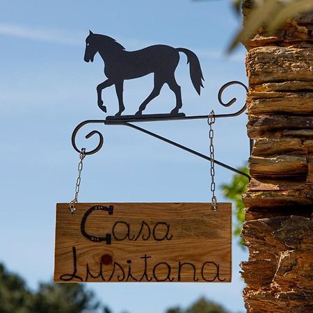 Maison d'hôtes Cavalo De Xisto - Turismo Rural, Lda. à Almaceda Extérieur photo