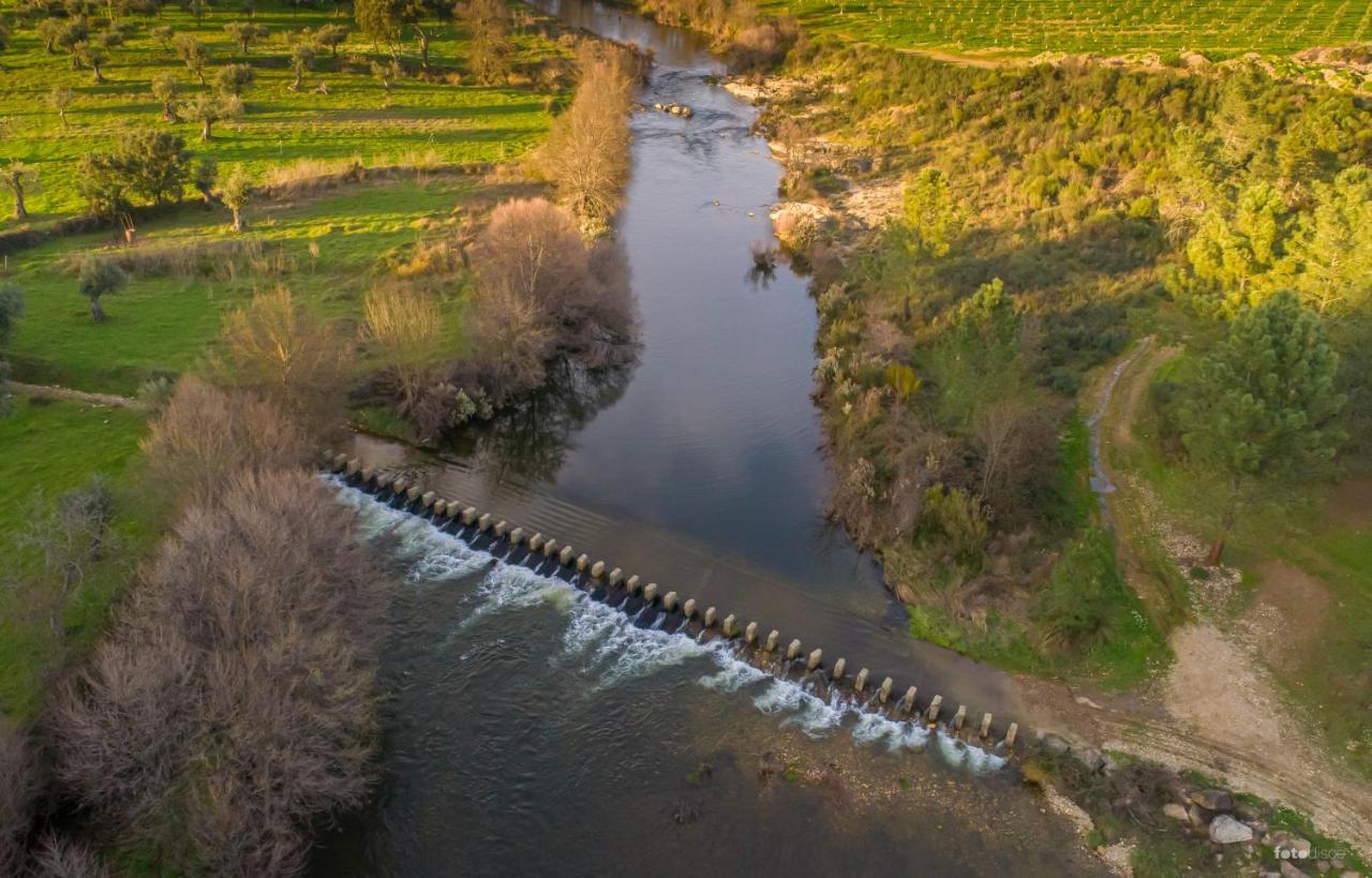 Maison d'hôtes Cavalo De Xisto - Turismo Rural, Lda. à Almaceda Extérieur photo