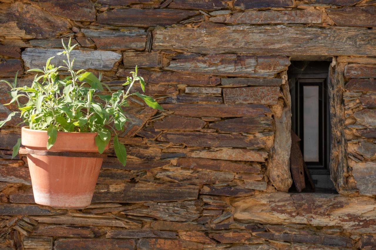 Maison d'hôtes Cavalo De Xisto - Turismo Rural, Lda. à Almaceda Extérieur photo