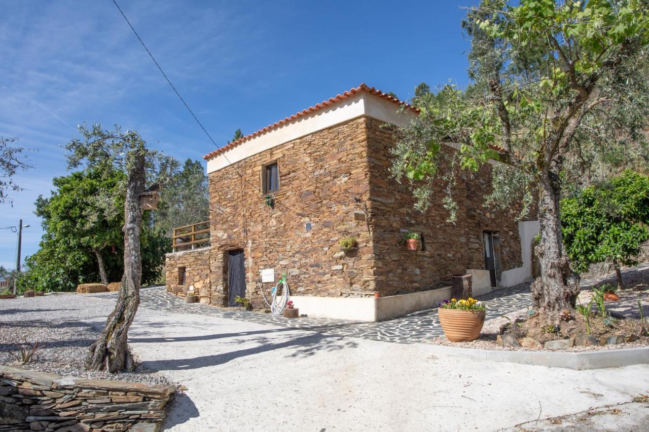 Maison d'hôtes Cavalo De Xisto - Turismo Rural, Lda. à Almaceda Extérieur photo