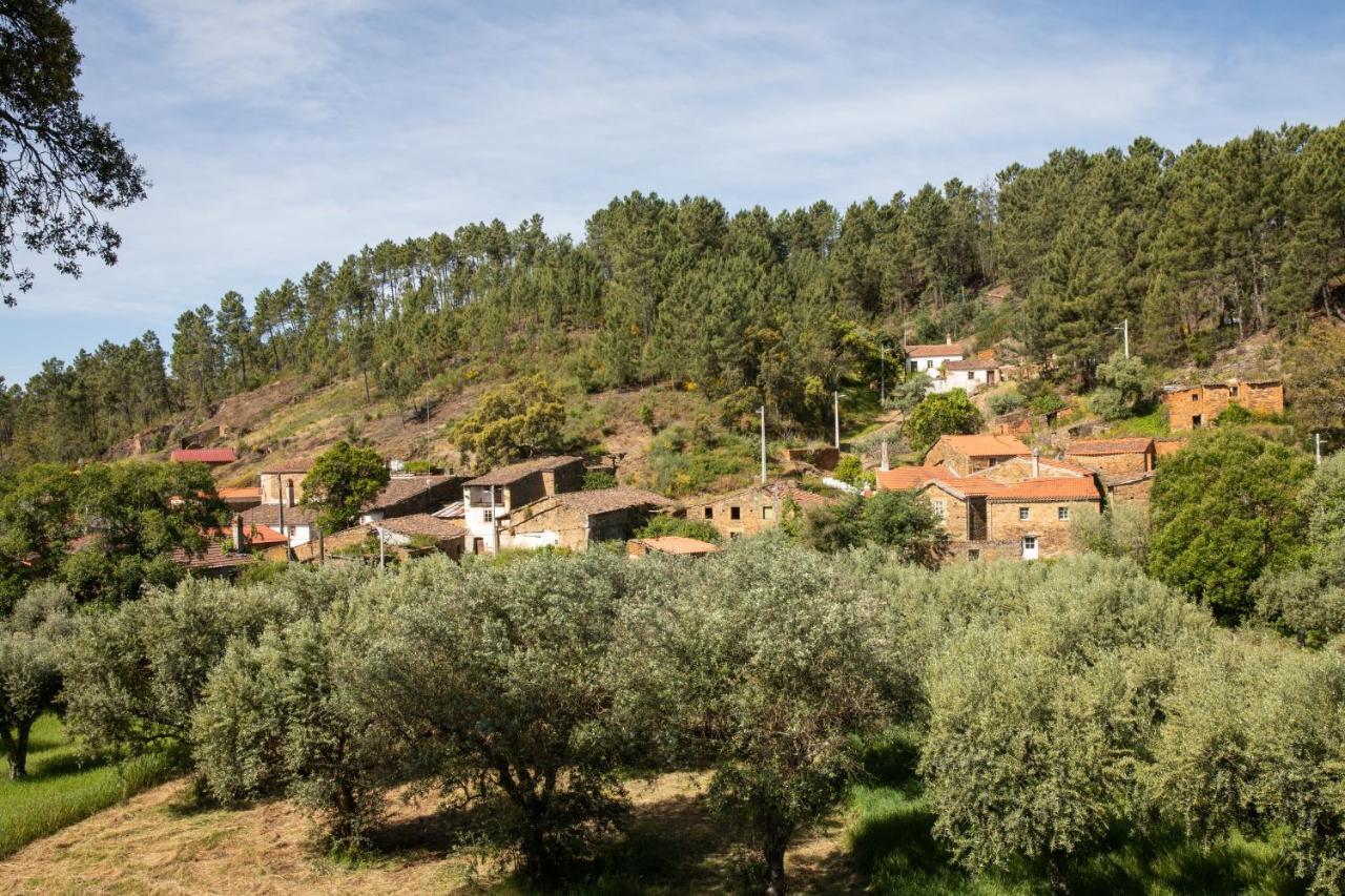 Maison d'hôtes Cavalo De Xisto - Turismo Rural, Lda. à Almaceda Extérieur photo